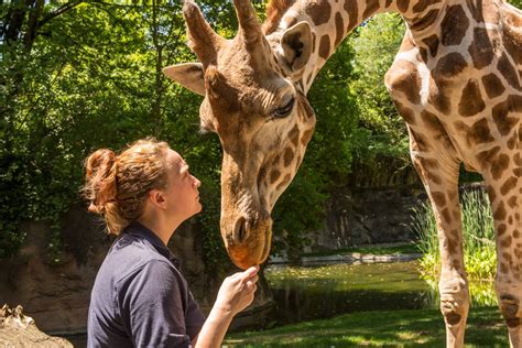 Zoo oregon - 1 room, 2 adults, 0 children. 4001 SW Canyon Rd, Portland, OR 97221-2799. Read Reviews of Oregon Zoo: Together for Wildlife.